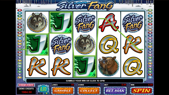 Бонусная игра Silver Fang 6